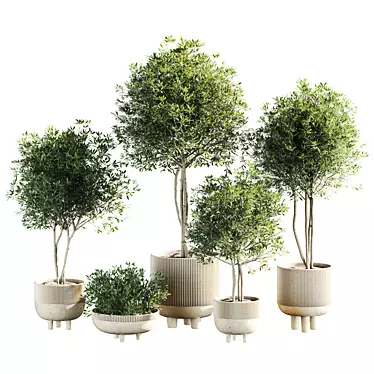 Botanical Collection Set Vray 3DMax 3D model image 1 