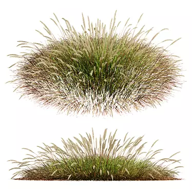 Golden-Spiked HQ Grass Ornament 3D model image 1 