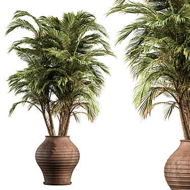 Tropical Palm Tree Outdoor Plant 3D model image 1 