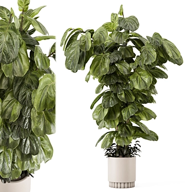 Modern Indoor Plants Set 3D 3D model image 1 