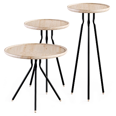 Modern Ash Wood Coffee Table 3D model image 1 