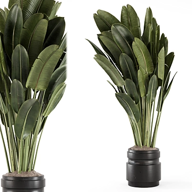 Rustic Concrete Pot Indoor Plants 3D model image 1 