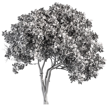 Sourwood Tree Set 163 3D model image 1 