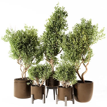 Outdoor Plant 227 V-Ray Corona 3D model image 1 