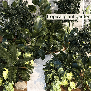 Tropical Oasis Plant Set 3D model image 1 