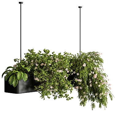 Hanging Plants: Indoor Greenery Beauty 3D model image 1 