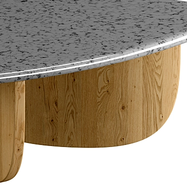 Modern Wood and Marble Coffee Table 3D model image 1 