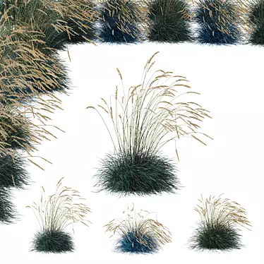 Silvery Blue Windy Plant Kit 3D model image 1 