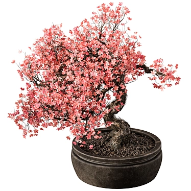 Flower Bonsai 523 - Indoor Greenery 3D model image 1 