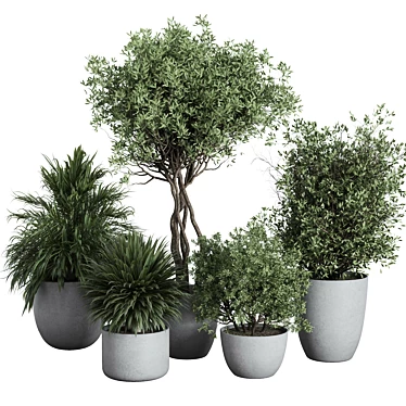 Outdoor Plant Set 156 Trees 3D model image 1 