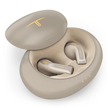 Tesla Earphones with Case 3D model image 1 