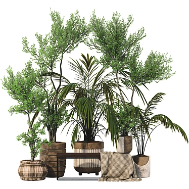 Elegant Parlor Palm & Pot 3D model image 1 