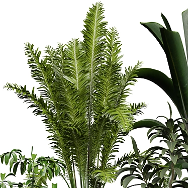 Premium Indoor Plant 3D Model 3D model image 1 