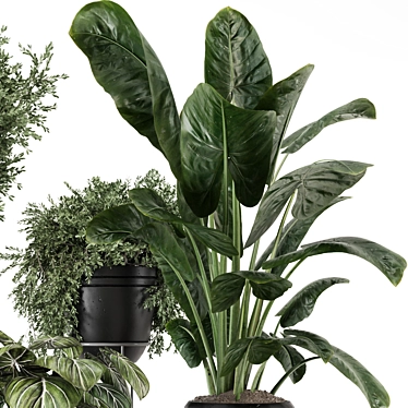 Modern Indoor Plants Set 1460 3D model image 1 