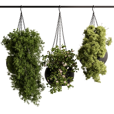  Hanging Plant Collection | Indoor Greens 3D model image 1 