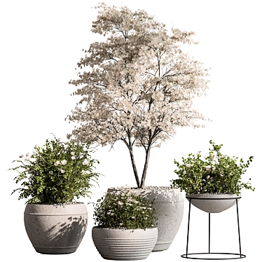 Title: Flower Tree Outdoor Plants 3D model image 1 