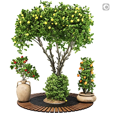 Garden Apple Tree & Bush 3D model image 1 