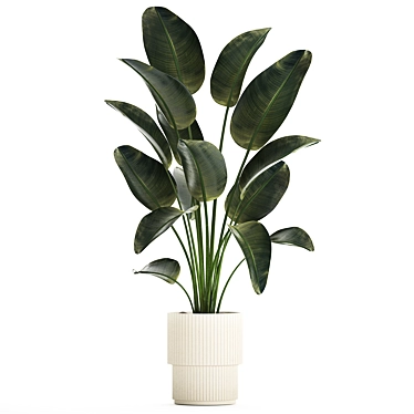 Tropical Exotic Plant Décor. 3D model image 1 