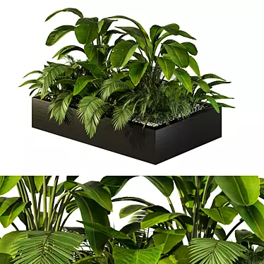 Tropical Jungle Indoor Plant Set 3D model image 1 