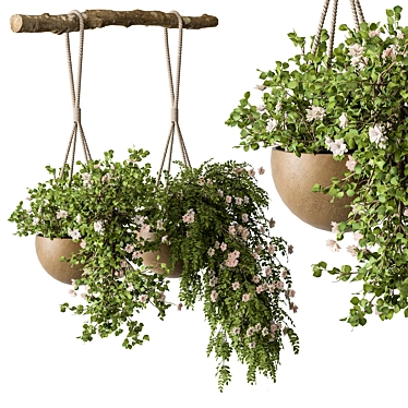 Urban Oasis Hanging Plant 527 3D model image 1 