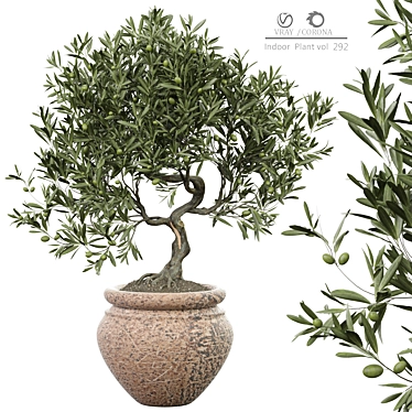 Modern Indoor Plant 3D Model 3D model image 1 