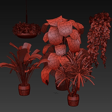 Quality Hanging Plant Collection - Palm, Banana, Monstera 3D model image 1 