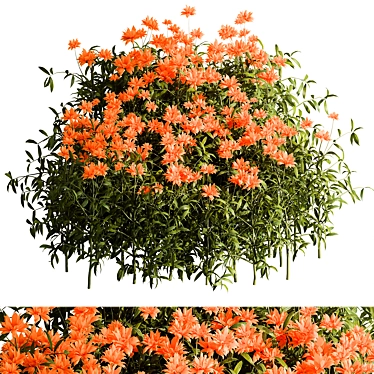 Floral Creeper Bush Set 114 3D model image 1 