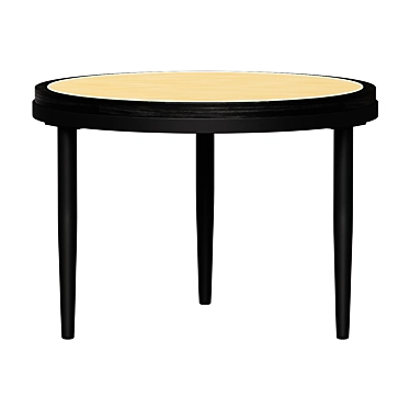  Hako Low Burned Black Coffee Table 3D model image 1 