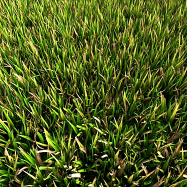 Polygonal Grass Landscape Assets 3D model image 1 