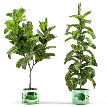 Kids' Room Fiddle Leaf Fig 3D model image 1 