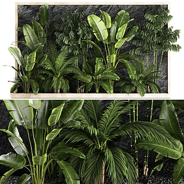 Exotic Tropical Plant Set 3D model image 1 