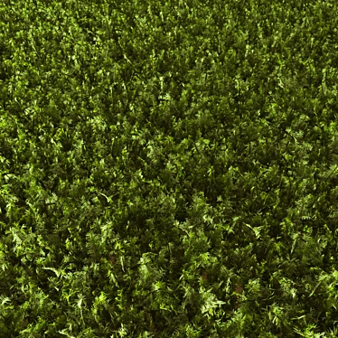 Grassy Textured Polygon Model 3D model image 1 