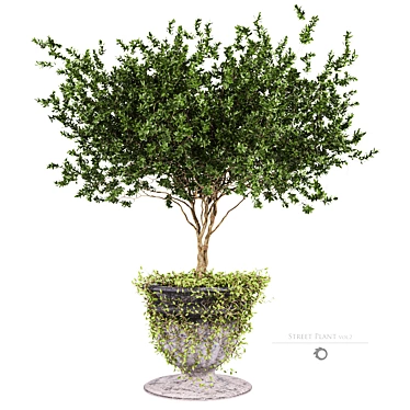 Concrete Pot Greenery Planter 3D model image 1 