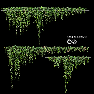 Triple Hanging Plant Collection 3D model image 1 