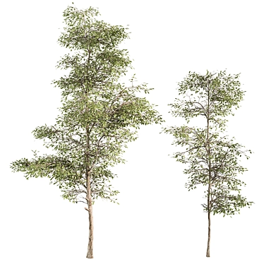 Tree Set 157: Sapling Collection 3D model image 1 