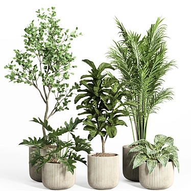 Modern Concrete Indoor Plant Set 3D model image 1 