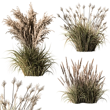 Assorted Tall Grass Collection - Set 22 3D model image 1 