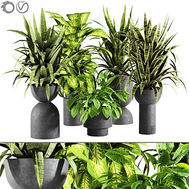 plant collection set 14