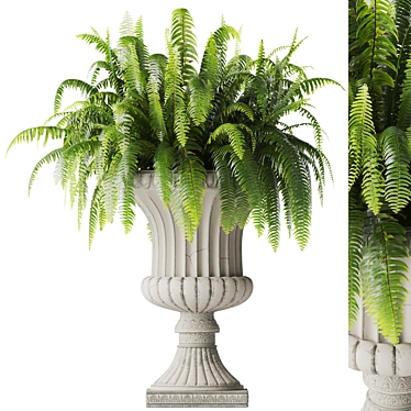 Boston Fern Vase Decoration Model 3D model image 1 