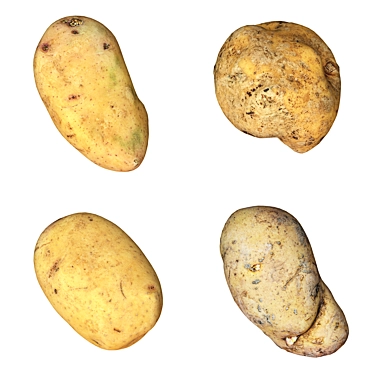 4 Lifelike Spud Models 3D model image 1 