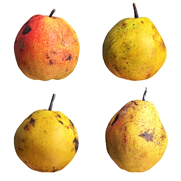 4 Realistic Pears Set, 3D 3D model image 1 