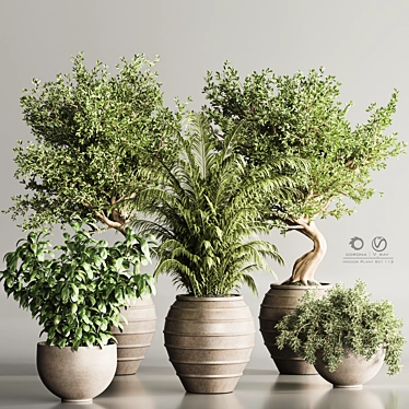 3Ds Max Indoor Plants 112 3D model image 1 