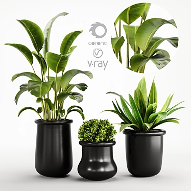 Modern Indoor Plant Set Kits 3D model image 1 