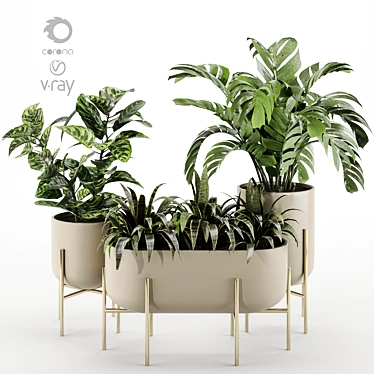 Versatile Indoor Plant Set 3D model image 1 