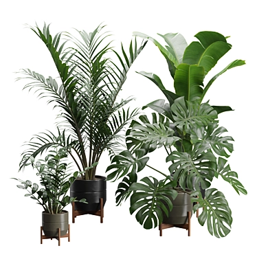 Indoor Plant Pack 48