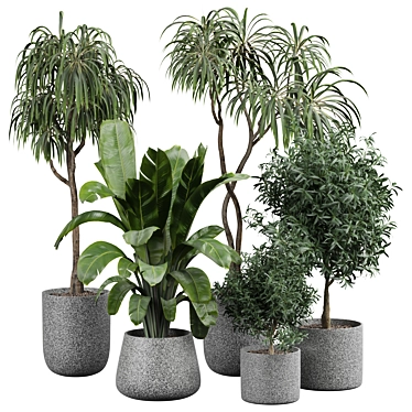 Luxury Indoor Plant Model 322 3D model image 1 