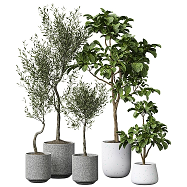 Modern Indoor Plant Decoration 3D model image 1 