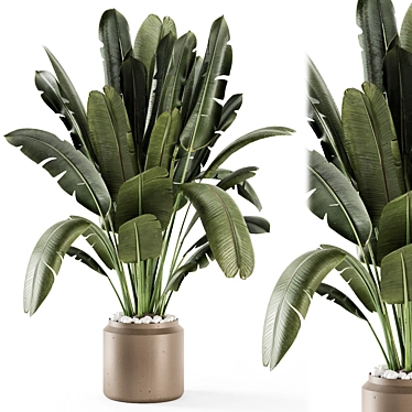 Modern Indoor Plants Set 1521 3D model image 1 