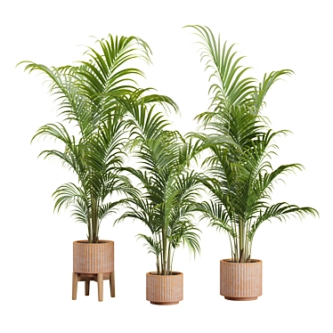 Tropical Areca Palm Set Render 3D model image 1 