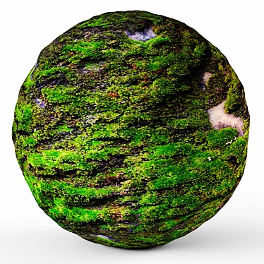 4K Seamless Moss Texture Pack 3D model image 1 